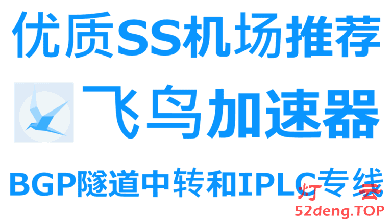 飞鸟加速器-优质SS机场推荐|国内入口BGP隧道中转和IPLC国际专线